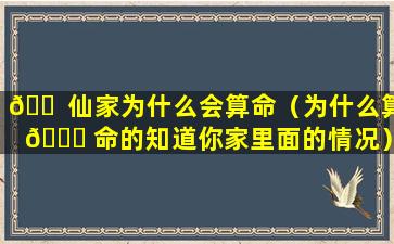 🐠 仙家为什么会算命（为什么算 🐅 命的知道你家里面的情况）